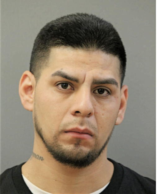 GABRIEL GUZMAN, Cook County, Illinois