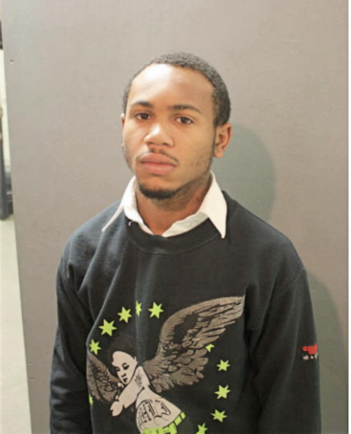 NATHAN L HILL, Cook County, Illinois