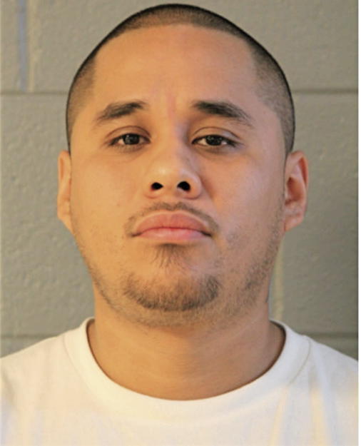 ADAM A MARTINEZ, Cook County, Illinois
