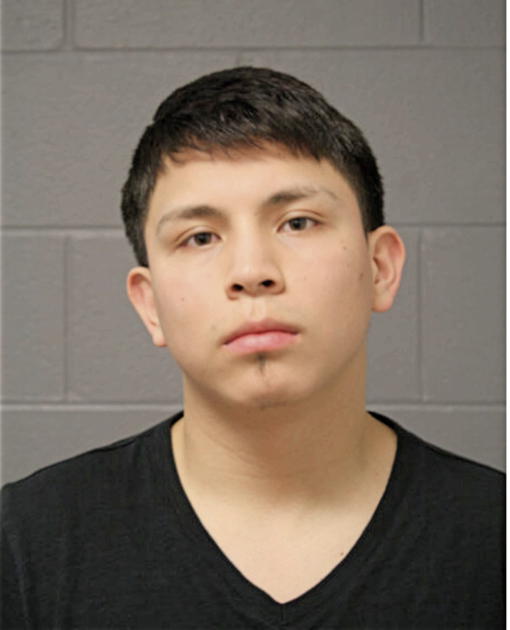 JONATHAN MENDIOLA, Cook County, Illinois