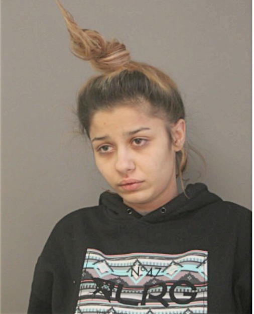 EDITA MUJKOVIC, Cook County, Illinois