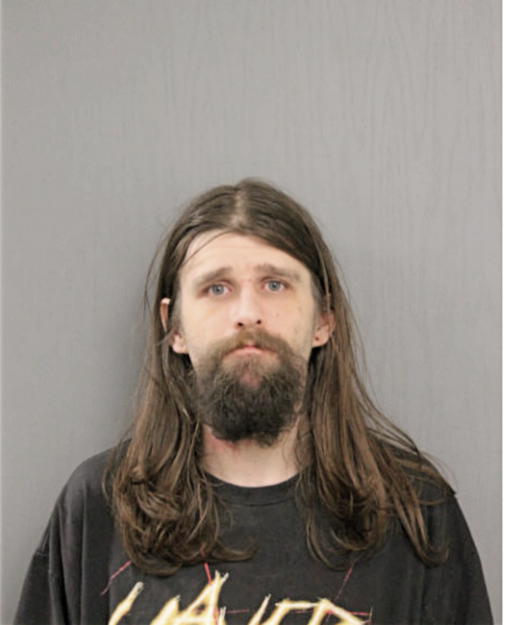 JAMES W NELSON, Cook County, Illinois