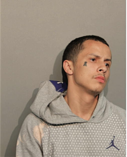 DAVID R RAMOS, Cook County, Illinois