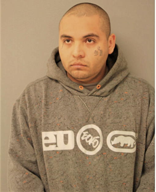 ROBERTO REYES, Cook County, Illinois