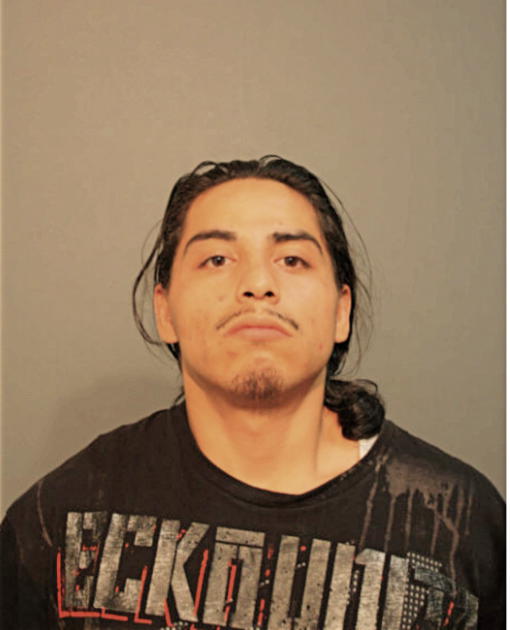 SIMON D RUIZ, Cook County, Illinois