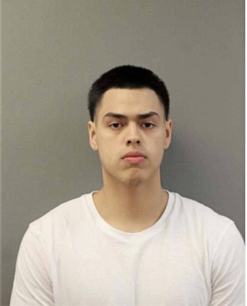 JASON SILVESTRE, Cook County, Illinois