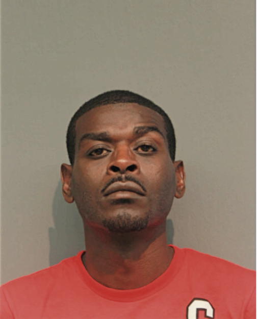 DANIEL G STEPHENS, Cook County, Illinois