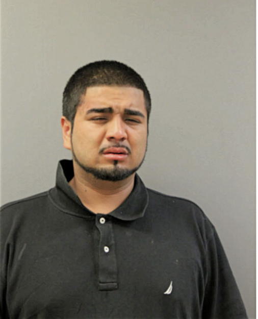 OSCAR TORRES, Cook County, Illinois