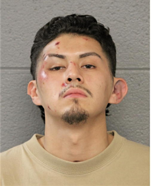 JOSE E ABEJA, Cook County, Illinois