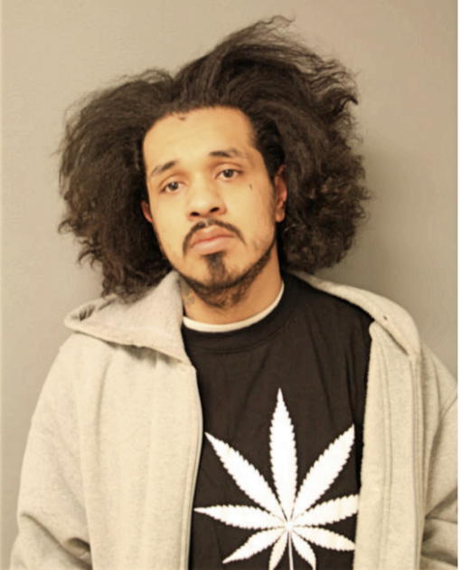 JUAN M ANDRADE, Cook County, Illinois