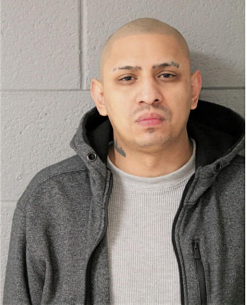 DIEGO ARAUJO, Cook County, Illinois