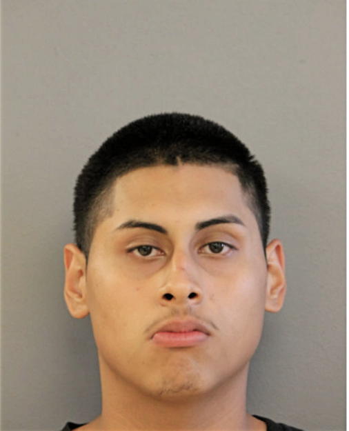 LUIS A ARCEO, Cook County, Illinois