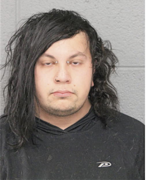 MICHAEL AVILES, Cook County, Illinois