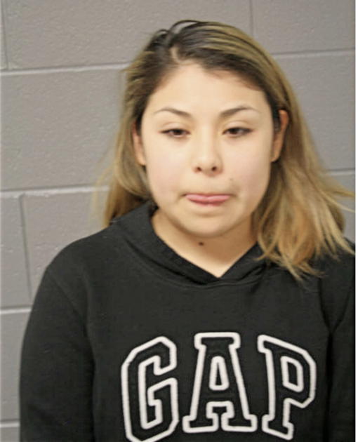 ELVER BAUTISTA, Cook County, Illinois