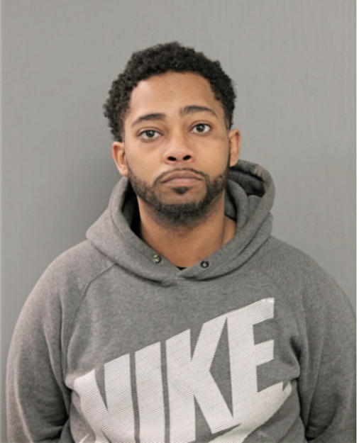 RYAN K BROWN, Cook County, Illinois