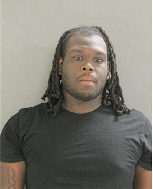 SHAWN J BROWN, Cook County, Illinois