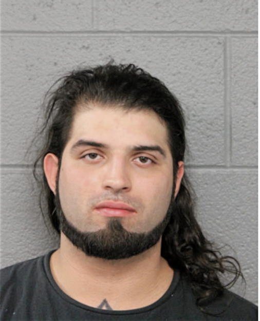 DAVID CALZADO, Cook County, Illinois