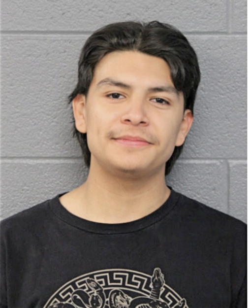 ADRIEN CAMPOS, Cook County, Illinois