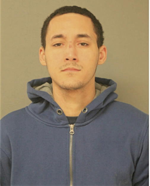 ENRIQUE L CRUZ, Cook County, Illinois