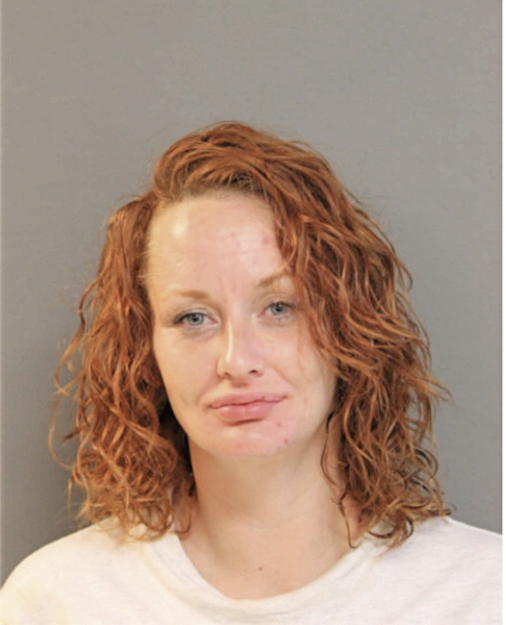 NICOLETTE M DIX, Cook County, Illinois