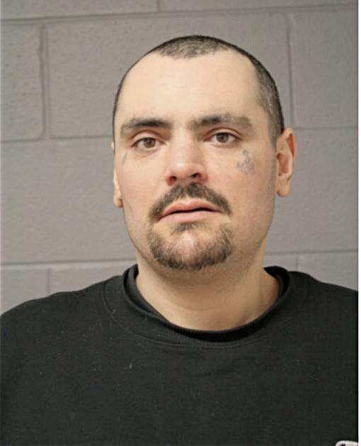 ANDREW M FAMIGHETTI, Cook County, Illinois