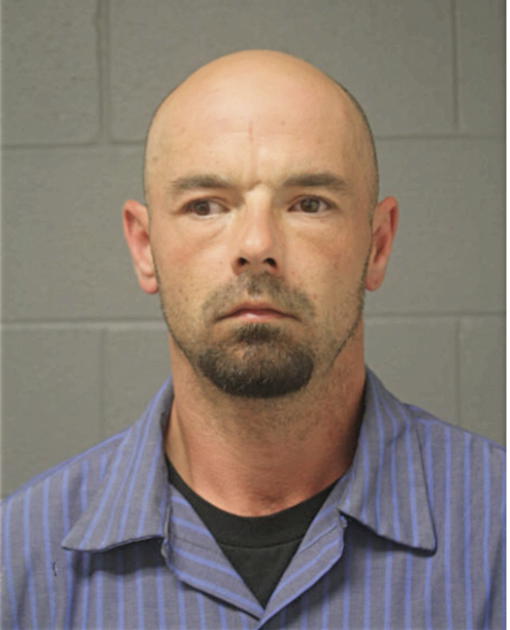 STEVEN A FIELDS, Cook County, Illinois