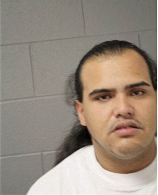 JOSE N IBARRANDO, Cook County, Illinois