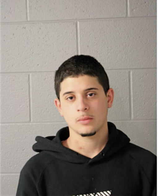 AMALIO LEON, Cook County, Illinois