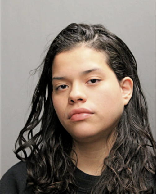 KATYA T LICEA, Cook County, Illinois