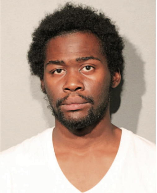 ANDRE P MACK, Cook County, Illinois