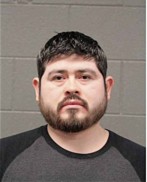 SILVESTRE MOTA-AGUILAR, Cook County, Illinois