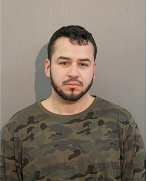 CHRISTIAN ANTHONY NEGRON, Cook County, Illinois