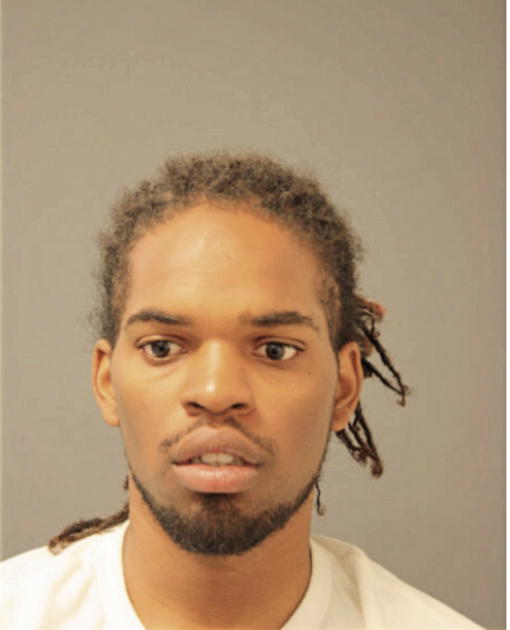 AARON NELSON, Cook County, Illinois