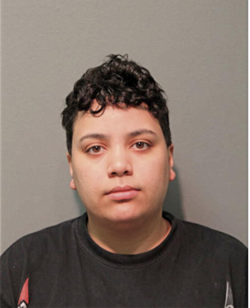 JASMINE N PADILLA, Cook County, Illinois