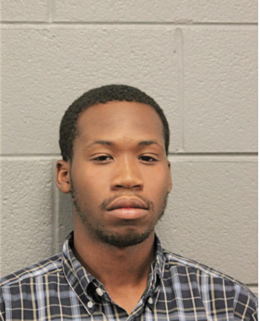 JOHNNY G PARRIS, Cook County, Illinois