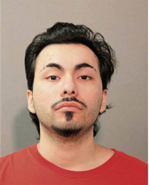 MIGUEL ANTONIO PILAMUNGA, Cook County, Illinois