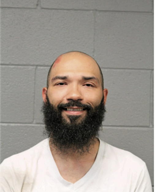BRYAN K RIDDLE, Cook County, Illinois