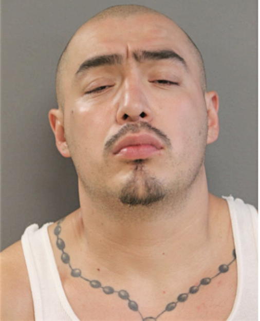 IVAN RIOS, Cook County, Illinois