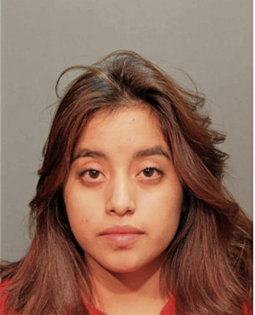LUZ RODRIGUEZ, Cook County, Illinois