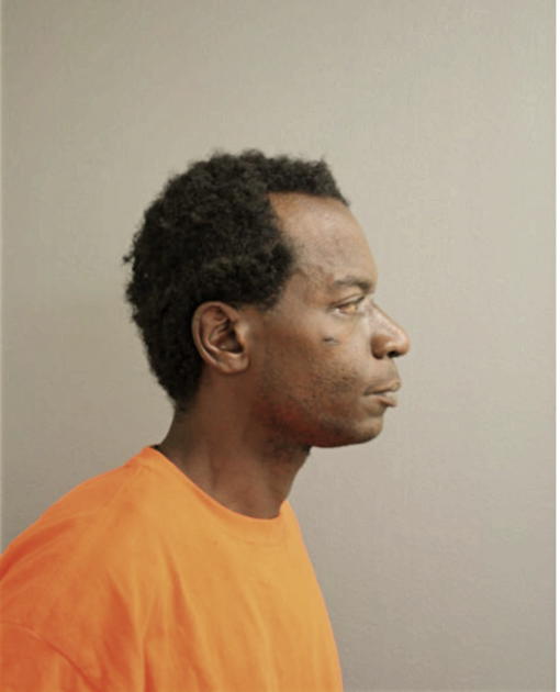 DARNELL M TYSON, Cook County, Illinois
