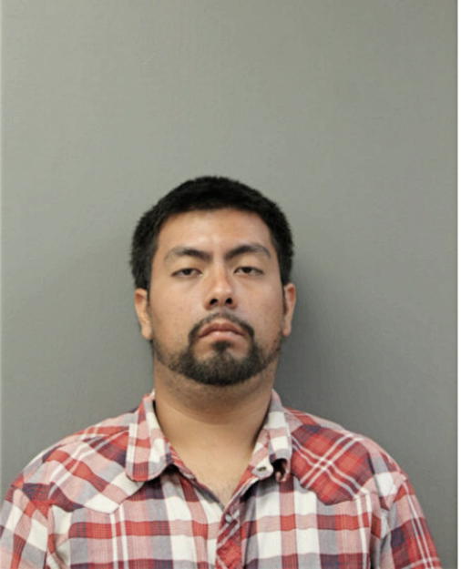 EVERARDO M ZAVALA, Cook County, Illinois