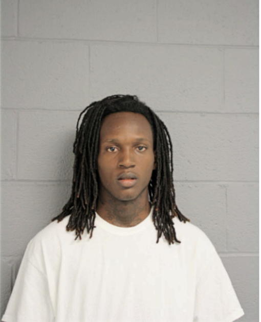 MALIK A AHMAD, Cook County, Illinois