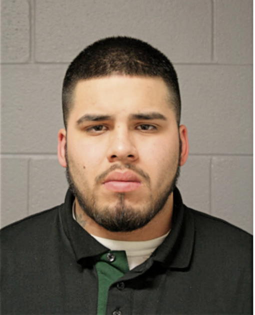 ANTHONY S BADAJOS, Cook County, Illinois