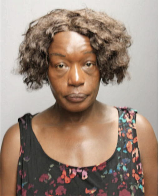 RACHELLE J CHAMBERS, Cook County, Illinois