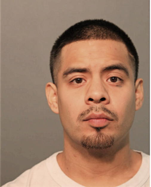 ALLAN G CHAVEZ, Cook County, Illinois
