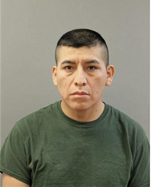 NESTOR COYAGO, Cook County, Illinois