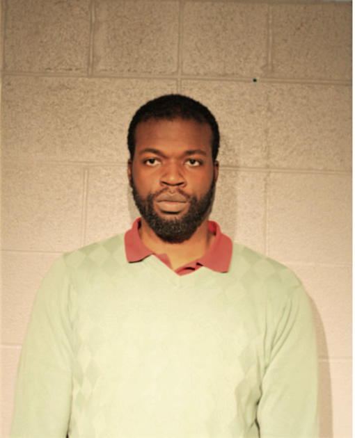 OLATUNJI A FAJIMOLU, Cook County, Illinois