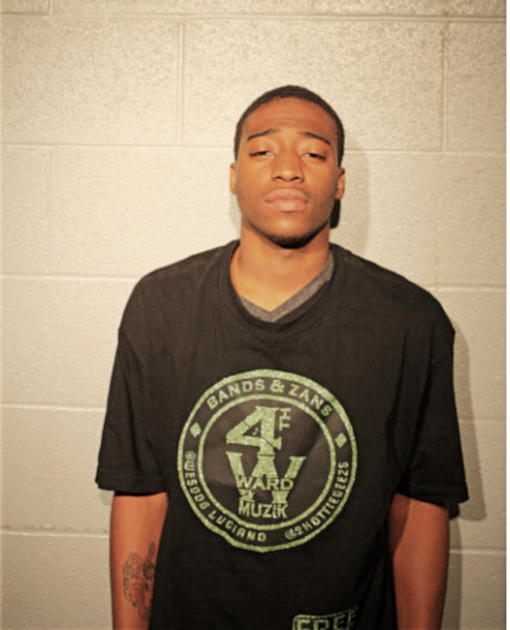 DEANDRE C GREEN, Cook County, Illinois