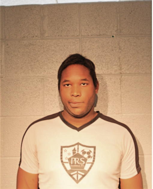 JOEL HOLMES, Cook County, Illinois