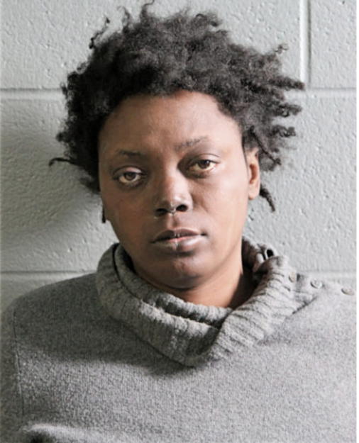 CANDIS M JOHNSON, Cook County, Illinois